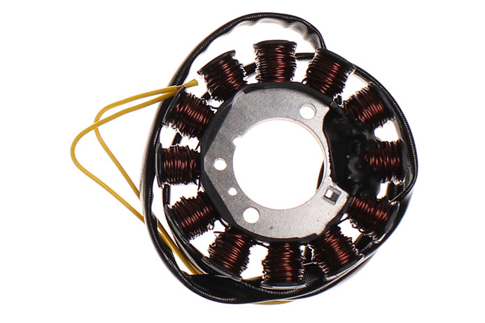 Generator Alternator Stator - EWGE-0160-0000-0000