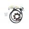 Honda CRF250, CRF450 Lighting and Ignition Stator - (ST1495L)